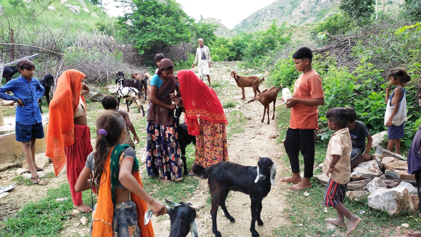 Livestock Enterprise Development Program